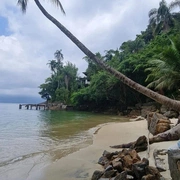Ilha de Jaguanum