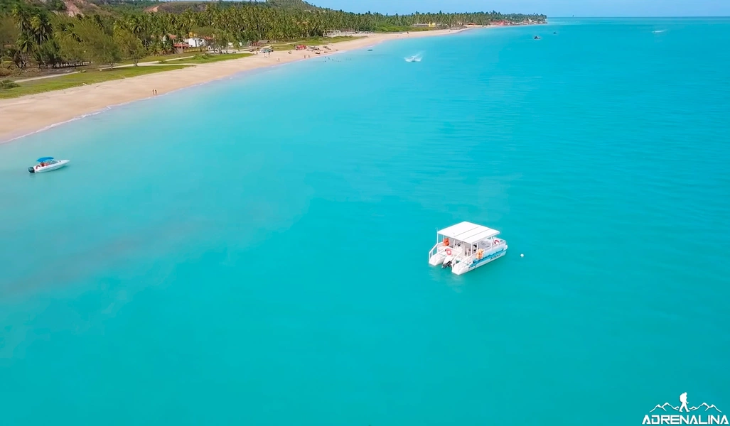 Alagoas e Pernambuco