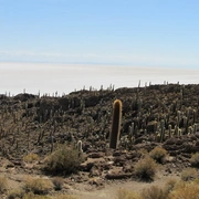 Deserto de Atacama e Salar de Uyuni