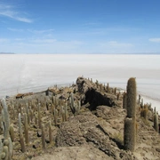Deserto de Atacama e Salar de Uyuni