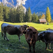 Alpes Suíços, França e Portugal