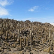 Deserto de Atacama e Salar de Uyuni