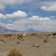 Deserto de Atacama e Salar de Uyuni