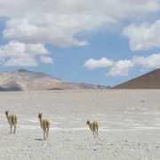 Deserto de Atacama e Salar de Uyuni