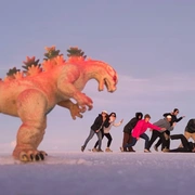 Deserto de Atacama e Salar de Uyuni