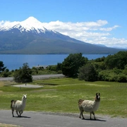 Pucon e Santiago