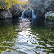 Delfinópolis