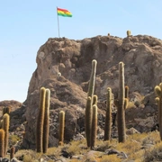 Deserto de Atacama e Salar de Uyuni