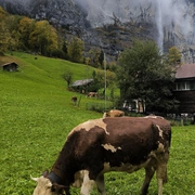 Alpes Suíços, França e Portugal